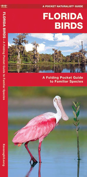 Florida Birds Pocket Guide