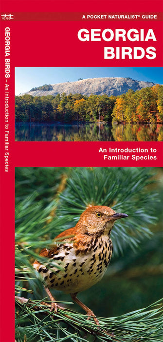 Georgia Birds Pocket Guide