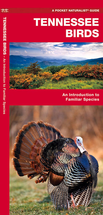 Tennessee Birds Pocket Guide