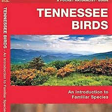 Tennessee Birds Pocket Guide