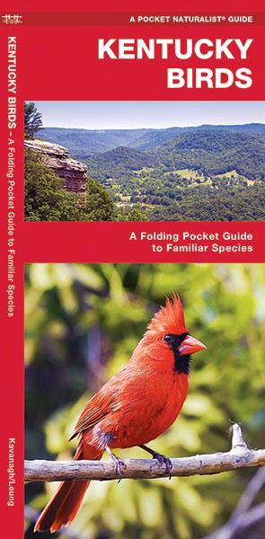 Kentucky Birds Pocket Guide