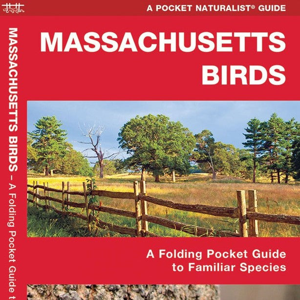 Massachusetts Birds Pocket Guide