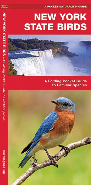 New York State Birds Pocket Guide
