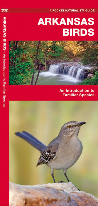Arkansas Birds Pocket Guide