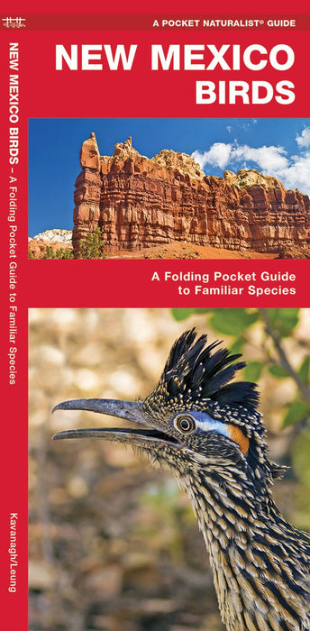 New Mexico Birds Pocket Guide