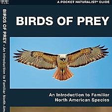Birds of Prey Pocket Guide