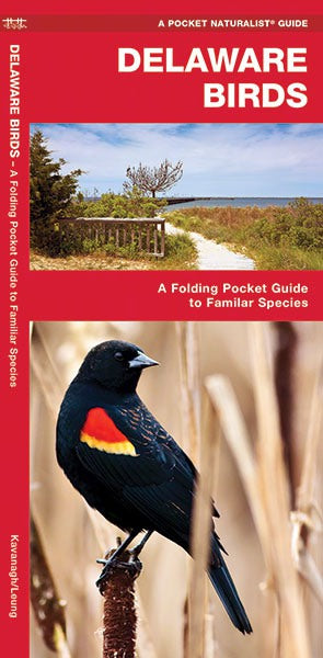 Delaware Birds Pocket Guide