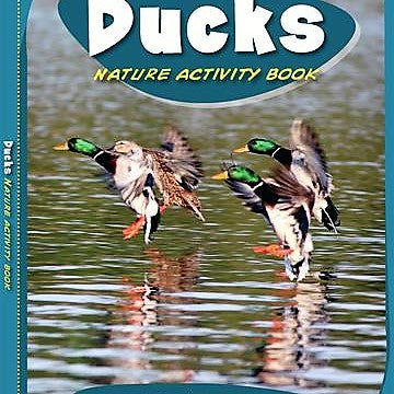 Ducks Nature Activity Book Children's Book