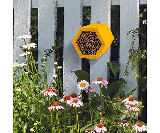 Honeycomb Modular Mason Bee House 8.5 IN X 8.5 IN X 6.5 IN 
