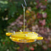 Plastic Butterfly Feeder 16 OZ