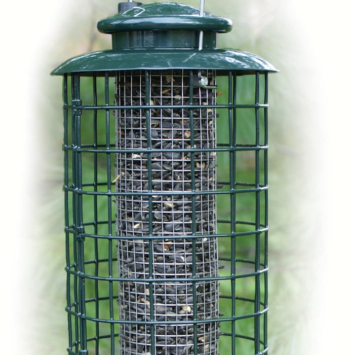 Caged Screen Sunflower Tube Bird Feeder