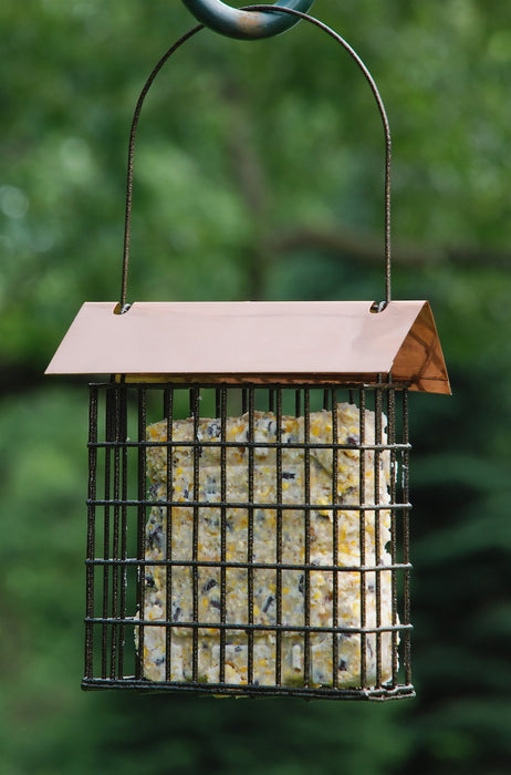 Brushed Copper Top Single Suet Cage 6.5 IN x 6.25 IN