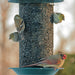 Tube Bird Feeders