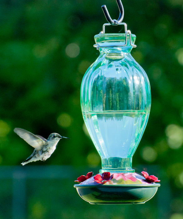 20 OZ Fluted Glass Hummingbird Feeder