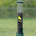 Tube Bird Feeders