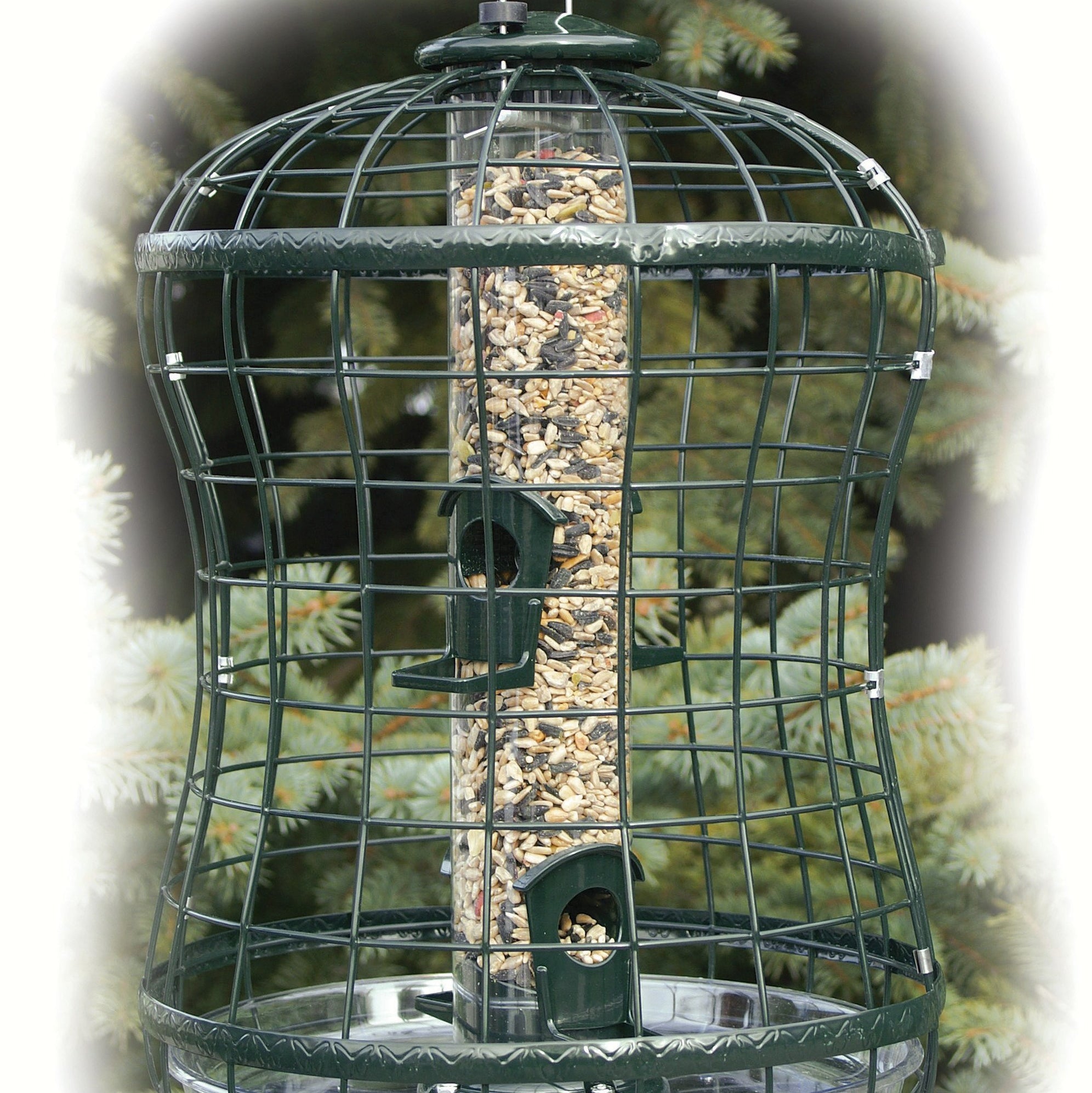 Picture of Tube Bird Feeders — Birdertown