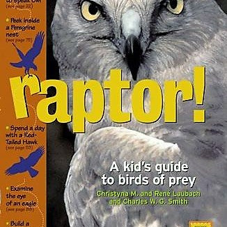 Raptor! A Kid's Guide to Birds Children's Book