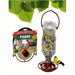 Terra Cotta Soda Bottle Bird Feeder